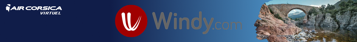 Windy